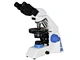 Polarizing microscope